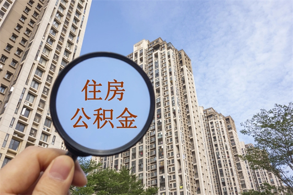 五指山离职可以取出公积金吗（离职可以取公积金嘛）